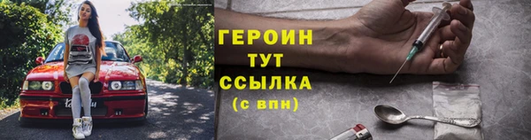 твердый Магас