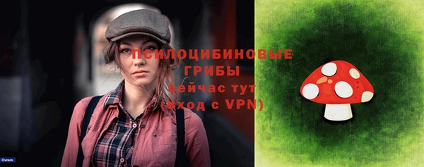 твердый Магас