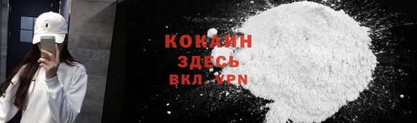 твердый Магас