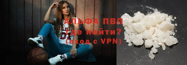 шишки Магадан