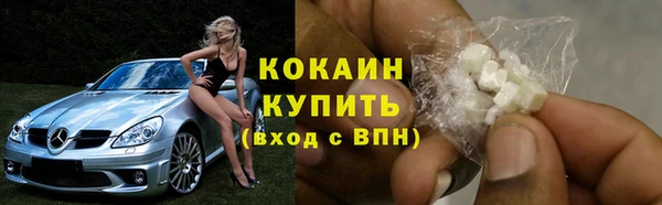 твердый Магас