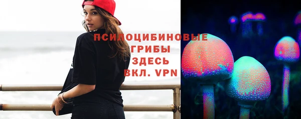ECSTASY Майский
