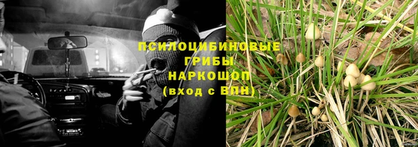 твердый Магас