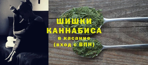 ECSTASY Майский