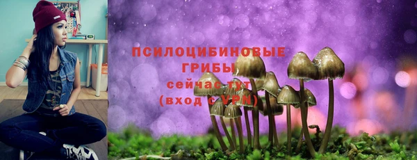 шишки Магадан